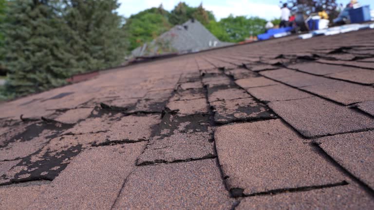 Best Roof Ventilation Installation  in Level Green, PA