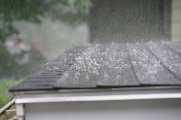 Best Asphalt Shingles Roofing  in Level Green, PA